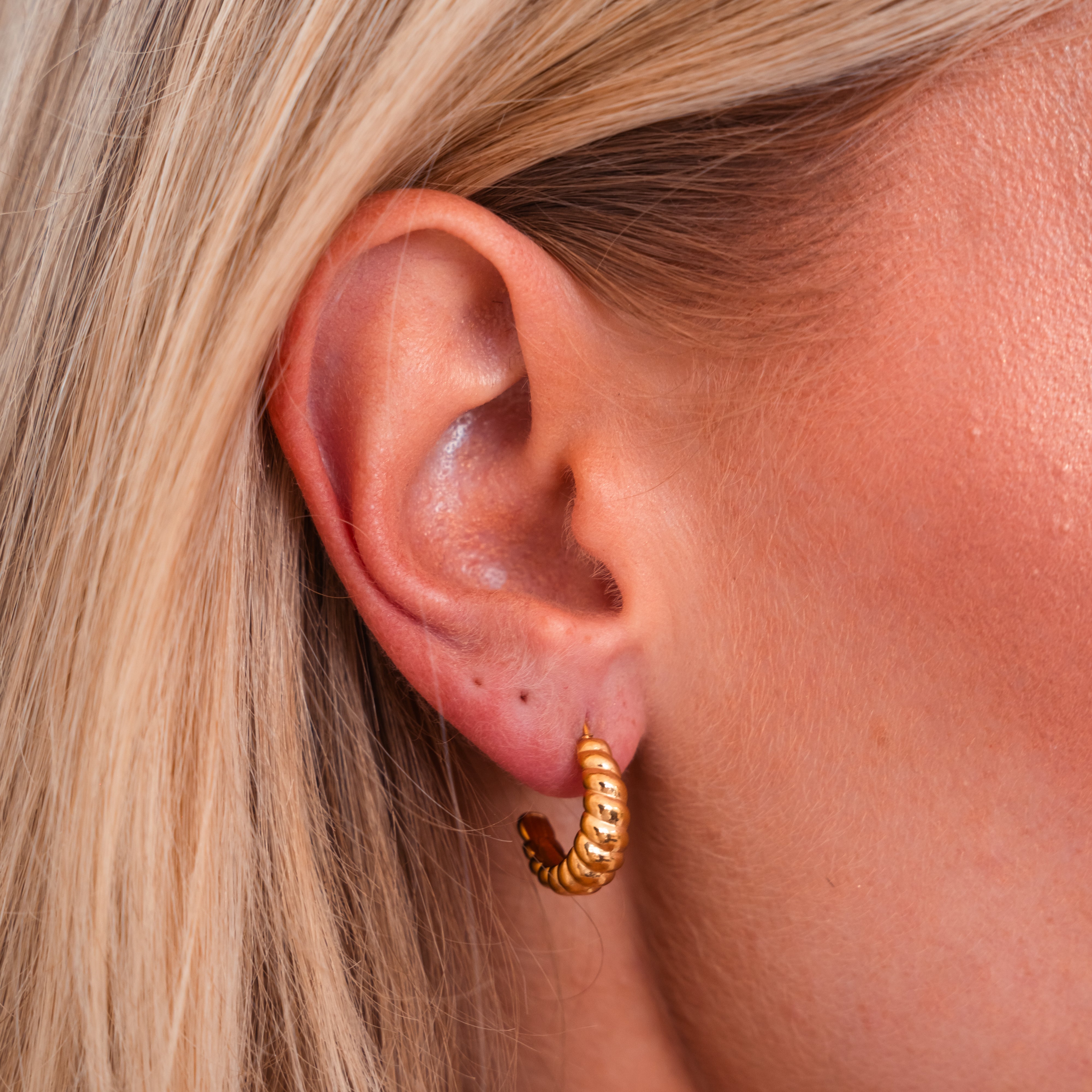 Flaky Butter Croissant